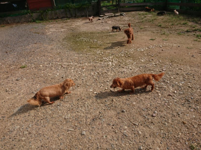 f:id:roukenhome-ann:20190825193910j:plain