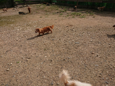 f:id:roukenhome-ann:20190825193925j:plain