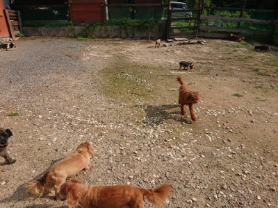f:id:roukenhome-ann:20190825193944j:plain
