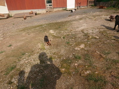 f:id:roukenhome-ann:20190825194901j:plain