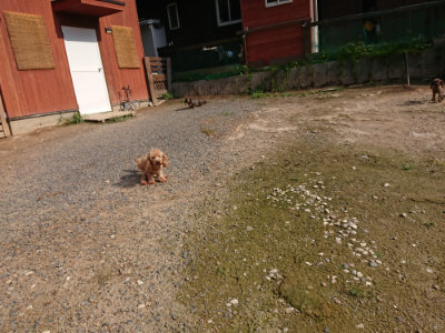 f:id:roukenhome-ann:20190825194912j:plain