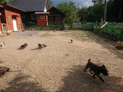 f:id:roukenhome-ann:20190825194939j:plain
