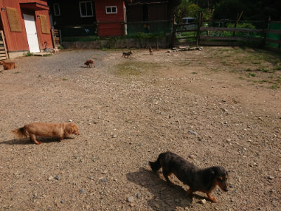 f:id:roukenhome-ann:20190825195029j:plain