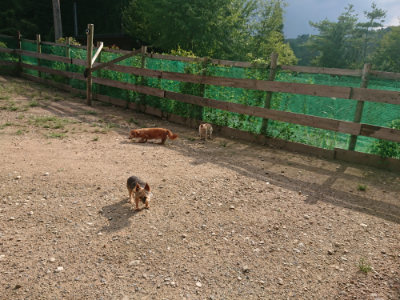 f:id:roukenhome-ann:20190825195114j:plain