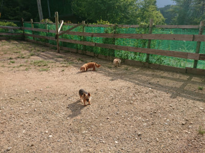 f:id:roukenhome-ann:20190825195134j:plain