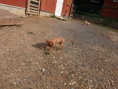 f:id:roukenhome-ann:20190825195152j:plain