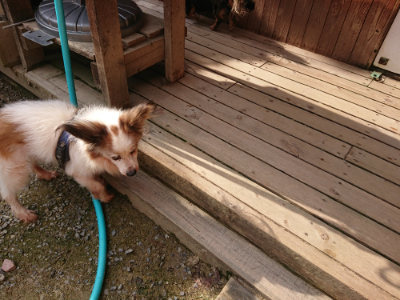 f:id:roukenhome-ann:20190825195159j:plain