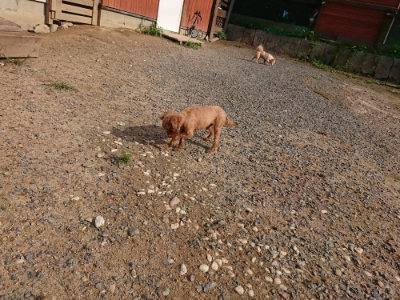 f:id:roukenhome-ann:20190825195235j:plain