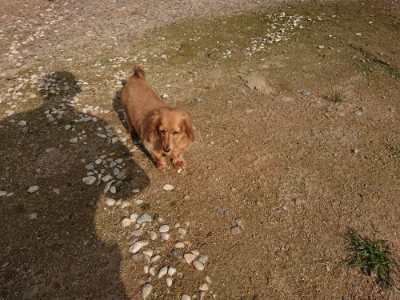 f:id:roukenhome-ann:20190825195536j:plain