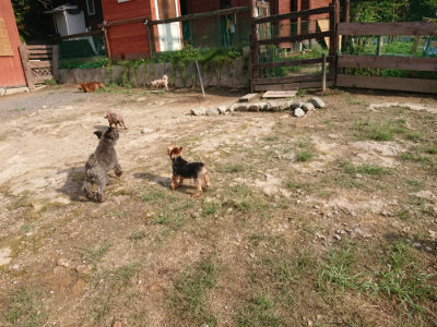 f:id:roukenhome-ann:20190825195543j:plain