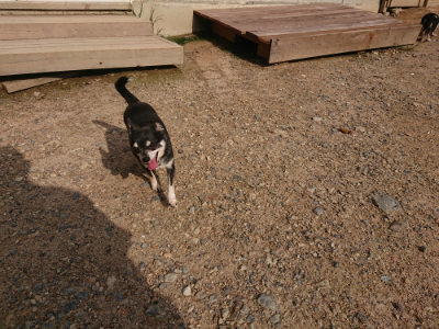 f:id:roukenhome-ann:20190825195600j:plain