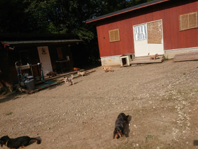 f:id:roukenhome-ann:20190825195635j:plain