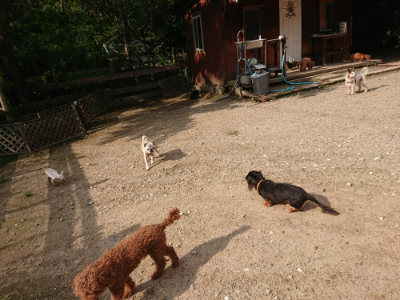 f:id:roukenhome-ann:20190825195658j:plain