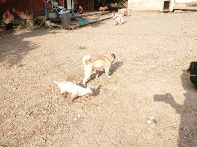 f:id:roukenhome-ann:20190825195720j:plain