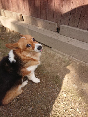 f:id:roukenhome-ann:20190825200532j:plain