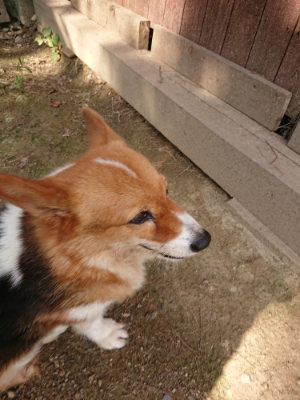 f:id:roukenhome-ann:20190825200538j:plain