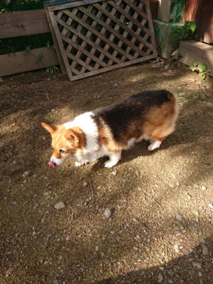 f:id:roukenhome-ann:20190825200602j:plain