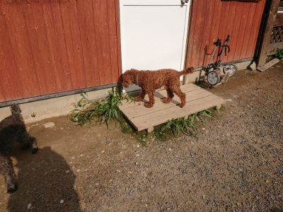 f:id:roukenhome-ann:20190825200721j:plain