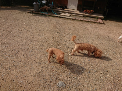 f:id:roukenhome-ann:20190825200747j:plain