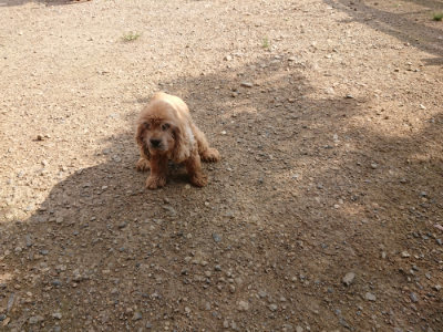 f:id:roukenhome-ann:20190825200819j:plain