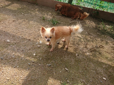 f:id:roukenhome-ann:20190825200827j:plain