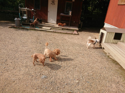 f:id:roukenhome-ann:20190825200836j:plain