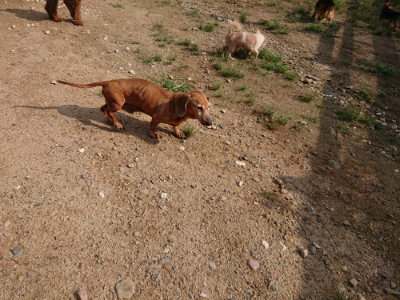 f:id:roukenhome-ann:20190825200856j:plain