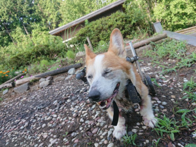 f:id:roukenhome-ann:20190825200908j:plain