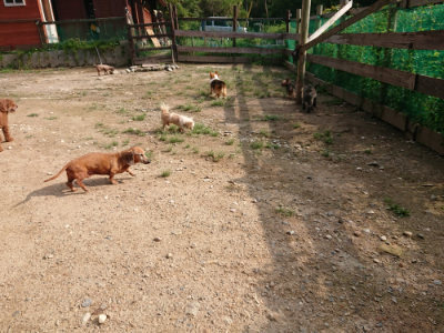 f:id:roukenhome-ann:20190825200942j:plain