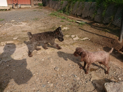 f:id:roukenhome-ann:20190825201246j:plain