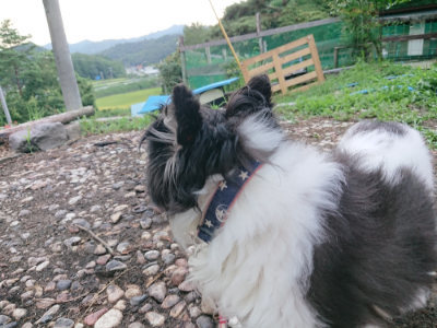 f:id:roukenhome-ann:20190825201253j:plain
