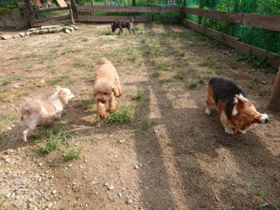 f:id:roukenhome-ann:20190825201425j:plain