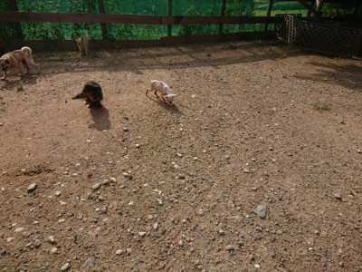 f:id:roukenhome-ann:20190825201432j:plain