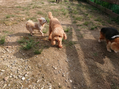 f:id:roukenhome-ann:20190825201455j:plain