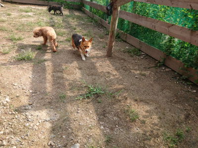 f:id:roukenhome-ann:20190825201512j:plain