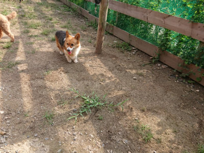 f:id:roukenhome-ann:20190825201535j:plain