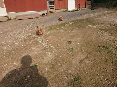 f:id:roukenhome-ann:20190825201543j:plain
