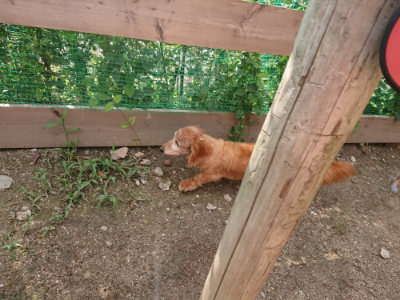 f:id:roukenhome-ann:20190825201548j:plain