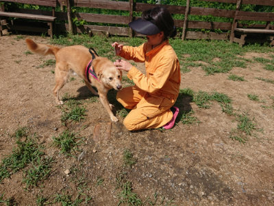 f:id:roukenhome-ann:20190825201554j:plain