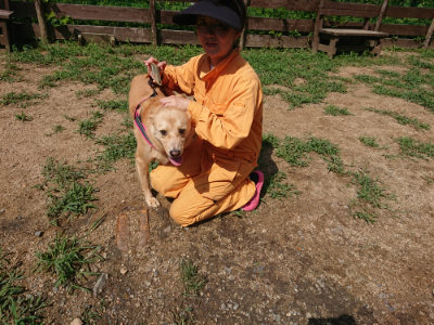 f:id:roukenhome-ann:20190825201601j:plain
