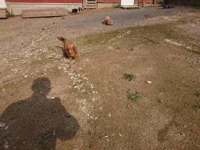 f:id:roukenhome-ann:20190825201607j:plain
