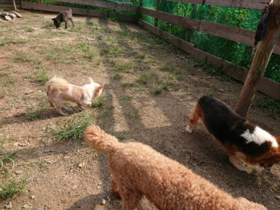 f:id:roukenhome-ann:20190825201614j:plain