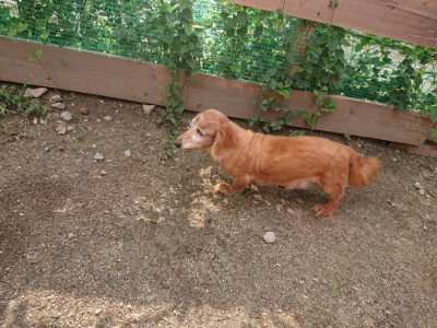 f:id:roukenhome-ann:20190825201640j:plain