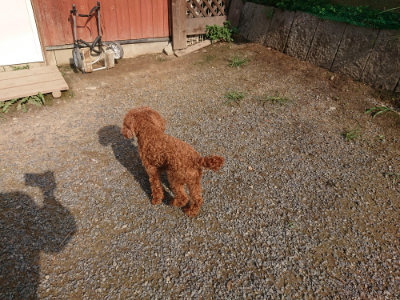 f:id:roukenhome-ann:20190825202424j:plain
