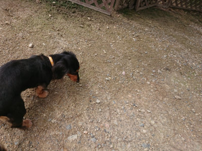 f:id:roukenhome-ann:20190825202454j:plain