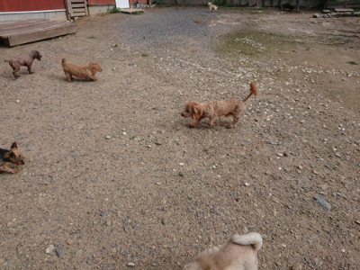 f:id:roukenhome-ann:20190825202536j:plain