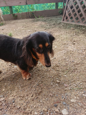 f:id:roukenhome-ann:20190825202549j:plain