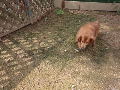 f:id:roukenhome-ann:20190825202555j:plain