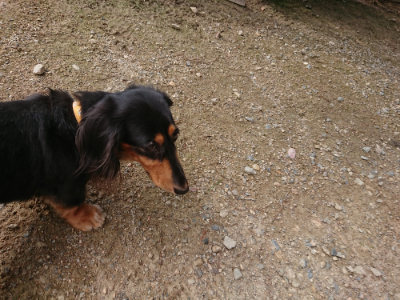 f:id:roukenhome-ann:20190825202608j:plain