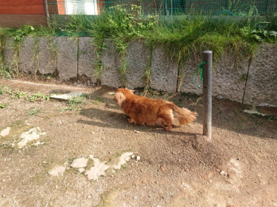 f:id:roukenhome-ann:20190825202623j:plain